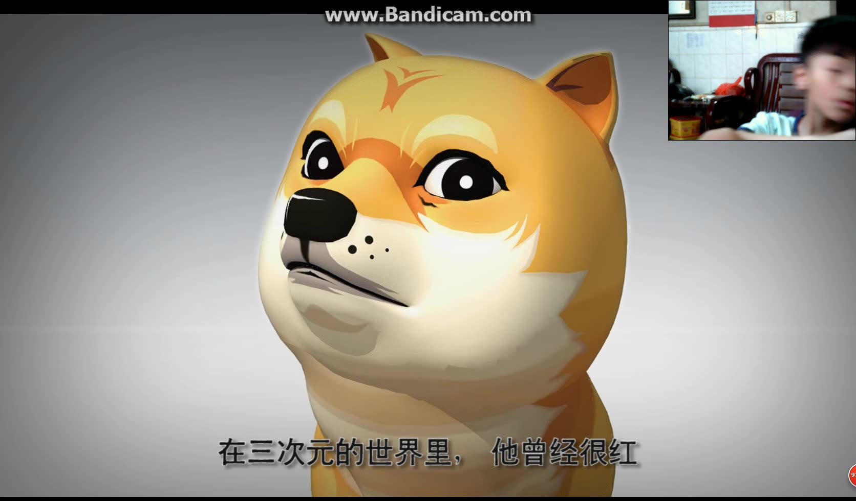 坤大拽看番:前方高能之神烦狗
