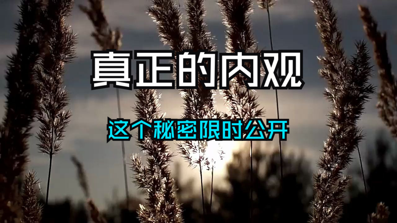 这个秘密限时公开，你从未真正体验过的内观！大多数人都未完成过一次真正的觉知之旅！