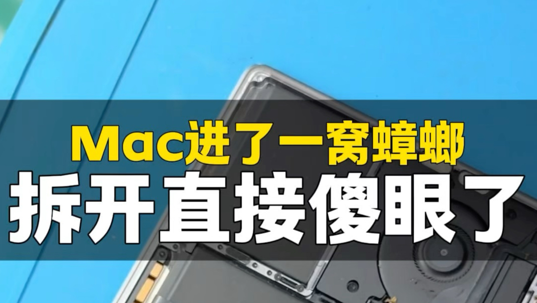 Mac进了蟑螂，帅哥拿来清理，拆开一看直接傻眼了…