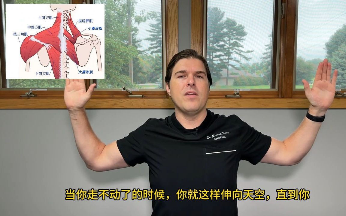 上背部肌肉紧张僵硬，肩胛骨活动能力训练，运动康复
