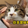 体检还被医生嘲笑！11斤小猪很无语