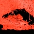 菲利普岛蜈蚣（Cormocephalus coynei）捕食黑翅圆尾鹱( Pterodroma nigripennis 