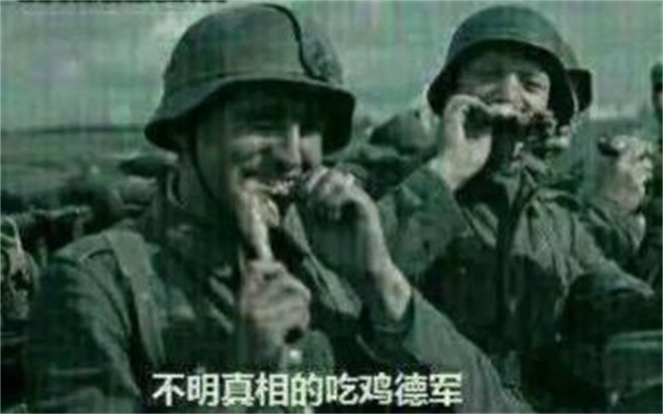几句心底话送给二战德军高层(滑稽)