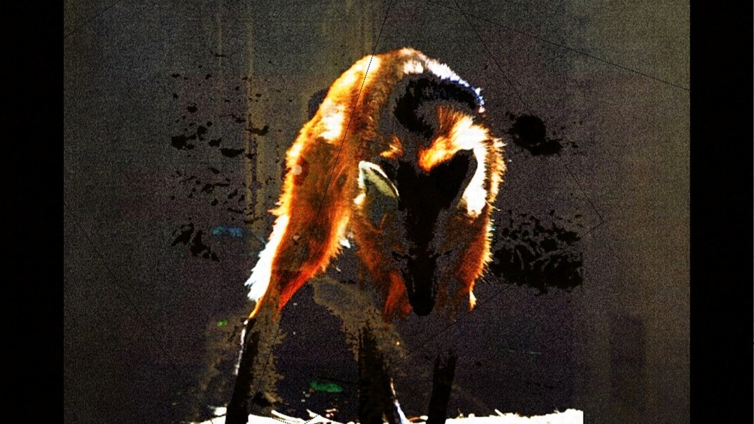 【初音ミク】he is a ghost【虻瀬犬】【2019年10月13日】