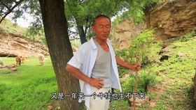 cdb39f57ddfd7cd156590276b3ea5c73b8b19490.jpg@280w_158h_1c_100q.jpg