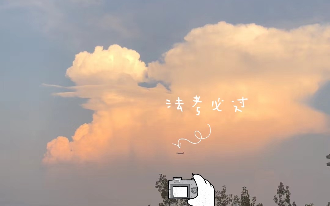 【法考倒计时36天】上午背《三国》的一只