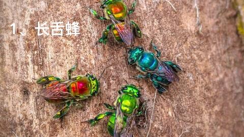 cdc22c36fe546d491a454c5160c37c7e2eb969cc.jpg@480w_270h_1c