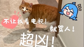 cdcafa7aed3538ce61608c9d4d801cf0cfe21c4e.jpg@280w_158h_1c_100q.jpg