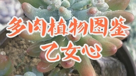cdd39d68dfd7489979ad90650701dbabdd959d5d.jpg@280w_158h_1c_100q.jpg