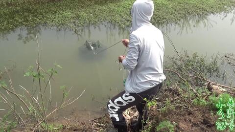 cde11af212049d6b30bcc48a39d07e6e13b851d2.jpg@480w_270h_1c