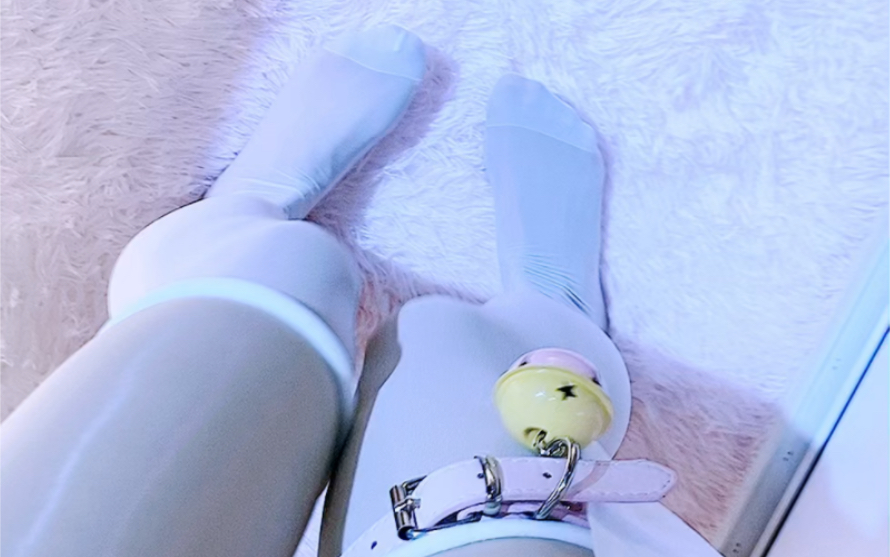 The latest video of [Softie Cat Cat has become an adult] is here, check it out!