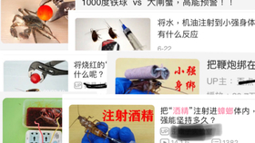 cdfa6fcb2496101ec23abfd2b2a610a783c305e0.jpg@280w_158h_1c_100q.jpg