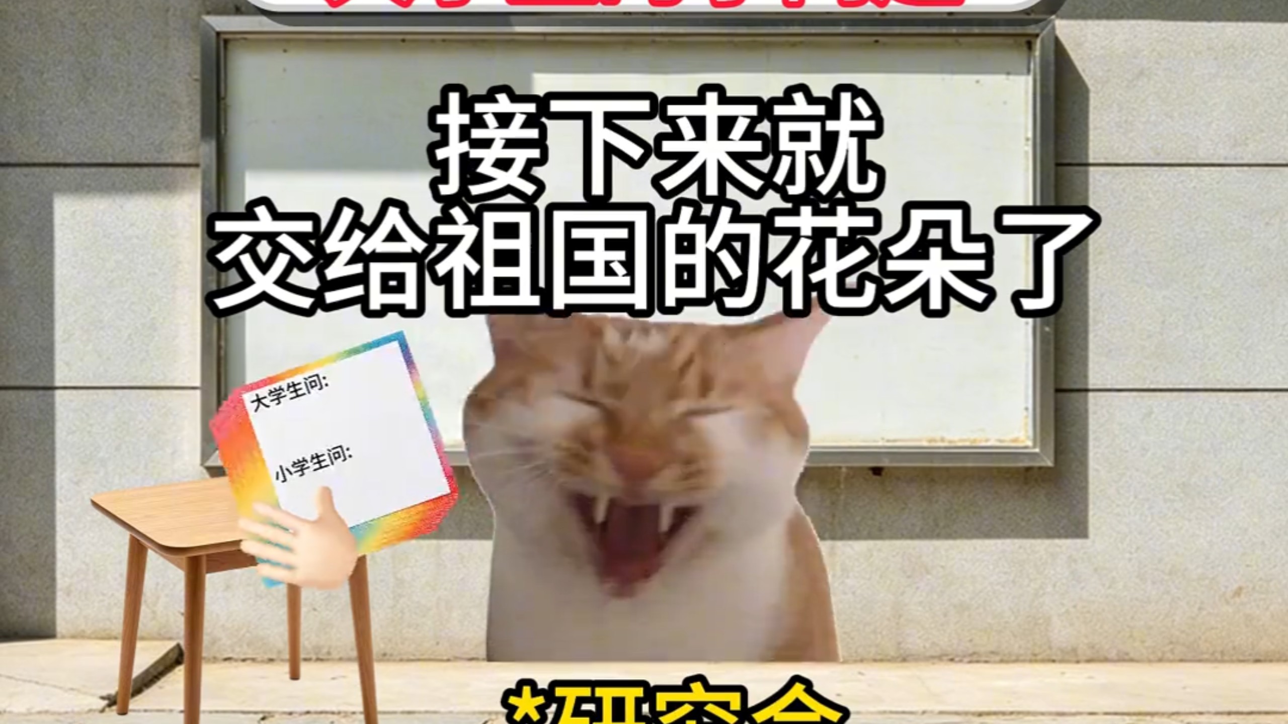 童年就有的答案，只是被你慢慢遗忘