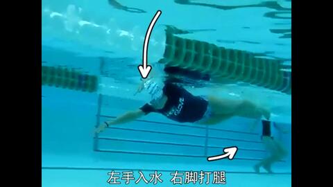 ce03da0ec4a9d637762f6d90b3142ba5cc98ad0e.jpg@480w_270h_1c