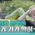 EXO团综《爬梯子世界旅行4》特别宣传片1公开！