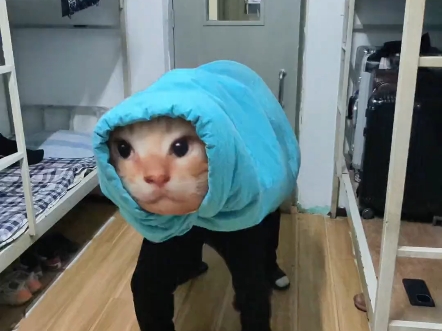 舞耄