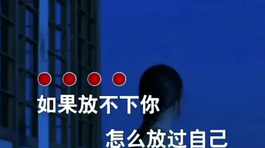 放不下你怎么放过自己 歌词句句入心 听哭了多少有故事的人