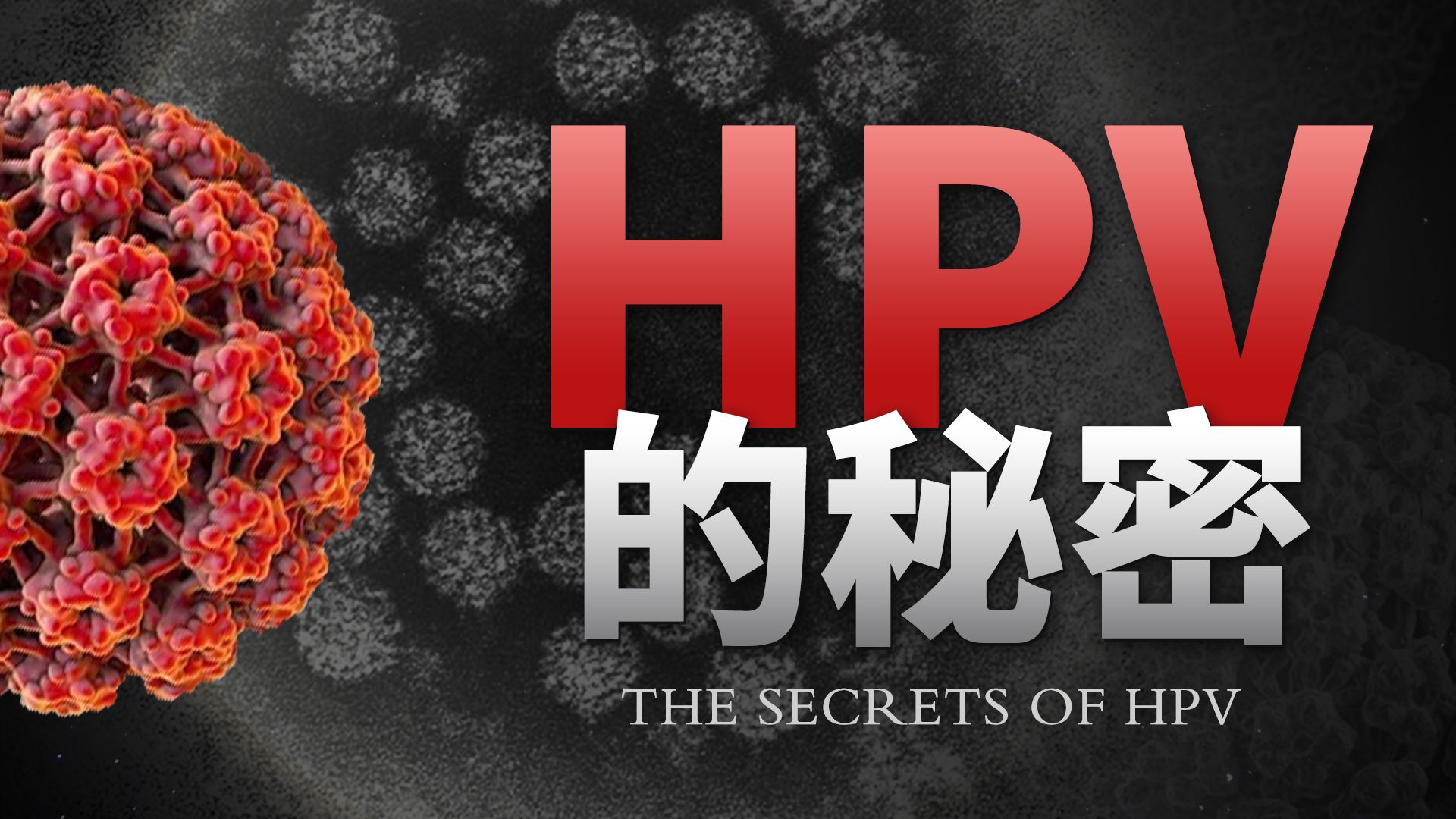 【基德】处男也会得HPV？6个被忽视的残酷真相