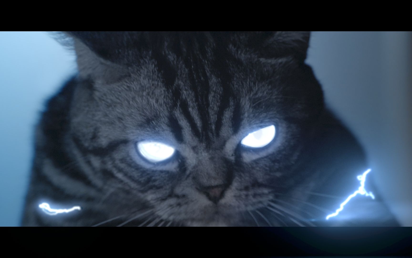 【灭霸日记01】我家猫竟然变成了雷神