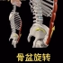 【运动解剖】脊柱运动功能解析。