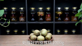 怎么样自己做猕猴桃酒 ce583da11ddf53f41adeef881081fa742609daf2.jpg@280w_158h_1c_100q.jpg