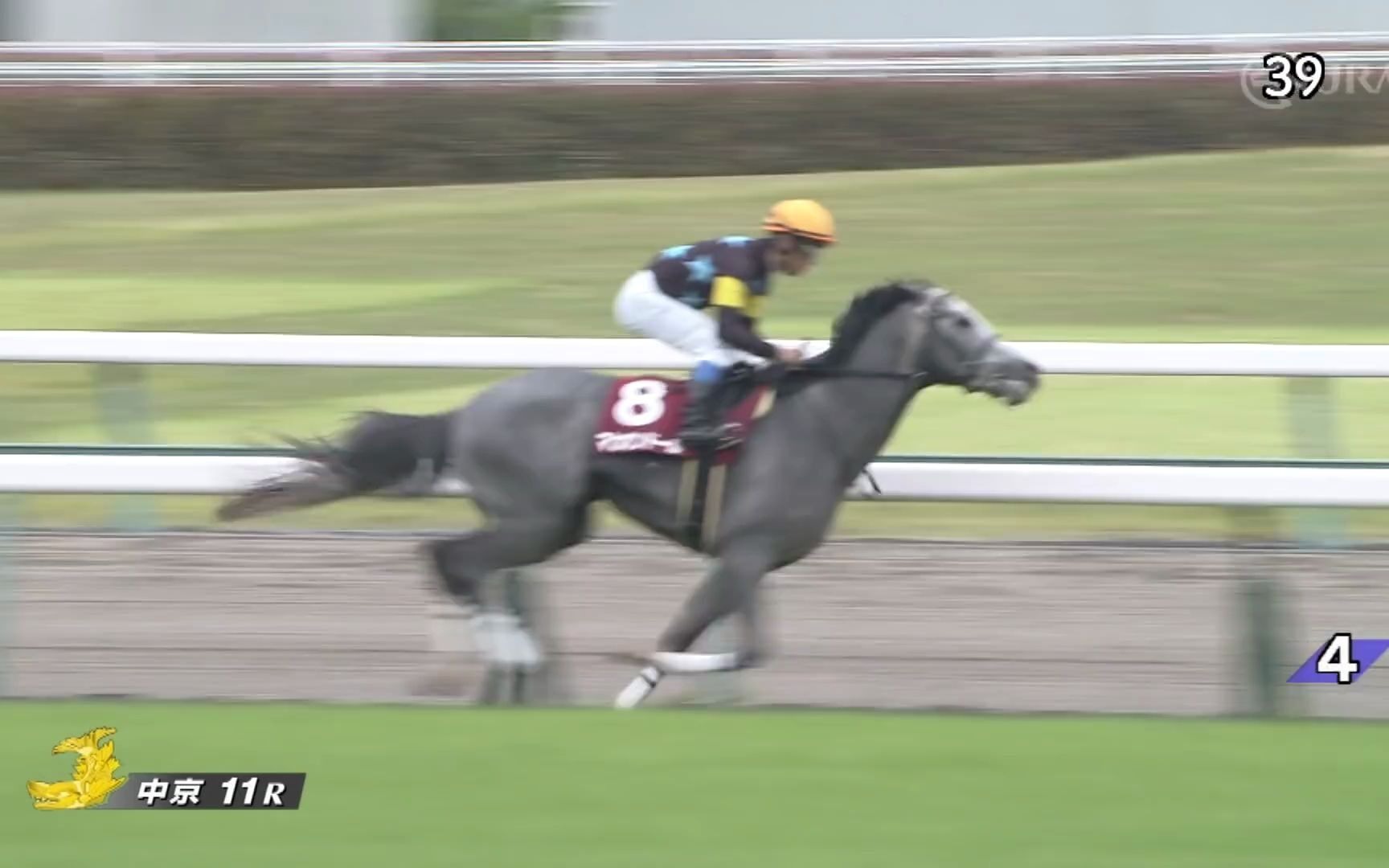 【日本赛马】2021年 第69回 京都新聞杯(GⅡ)_哔哩哔哩_bilibili