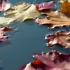 空镜头视频 秋天秋季树叶枫叶红叶 素材分享