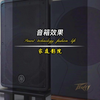 客厅KTV音箱的效果（百威，杰士