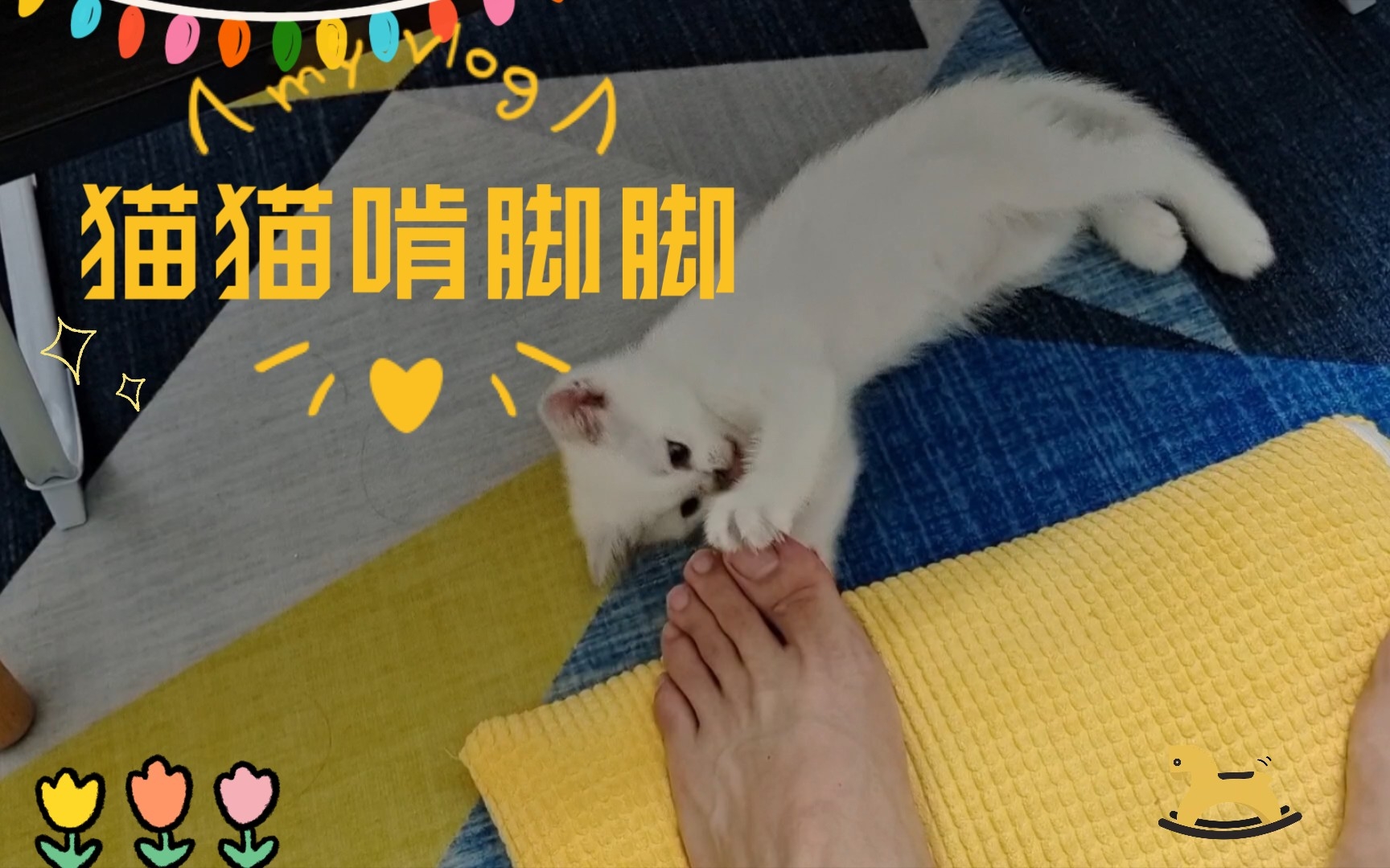 猫猫啃脚脚