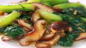 ce9f78ff90bc14c0b12a07d8987d57cb37ac2fb2.jpg@280w_158h_1c_100q.jpg