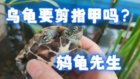 cebb73098878a1bc875c4684f6d21601acac6580.jpg@280w_158h_1c_100q.jpg