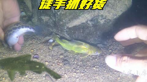 cec9ed047cbdfd95486c311c549936f14cfb5175.jpg@480w_270h_1c