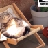 猫咪躺在定制椅子上晒太阳，轻摇尾巴、表情享受。网友：酸了，替我上班吧！