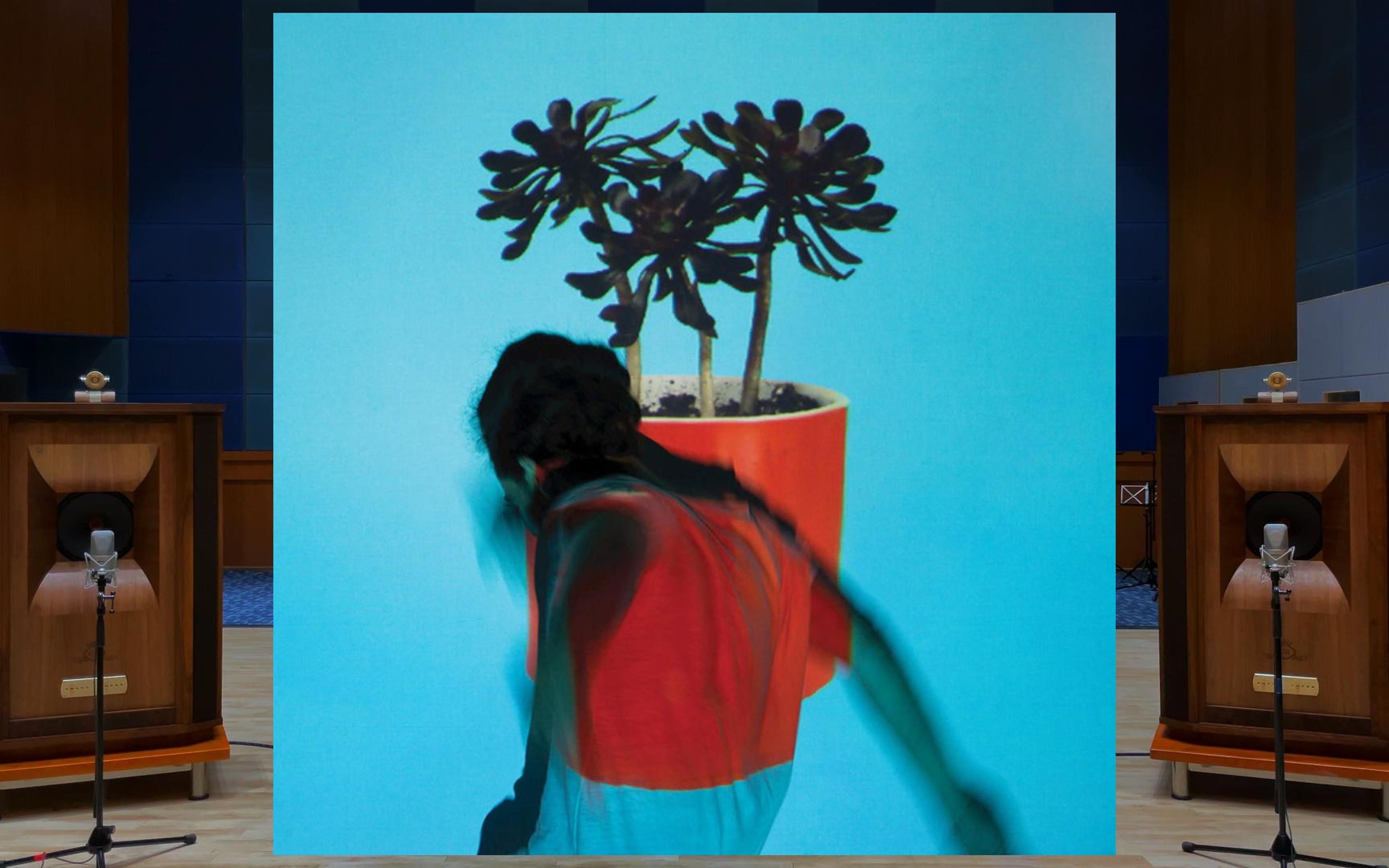 2018-mv