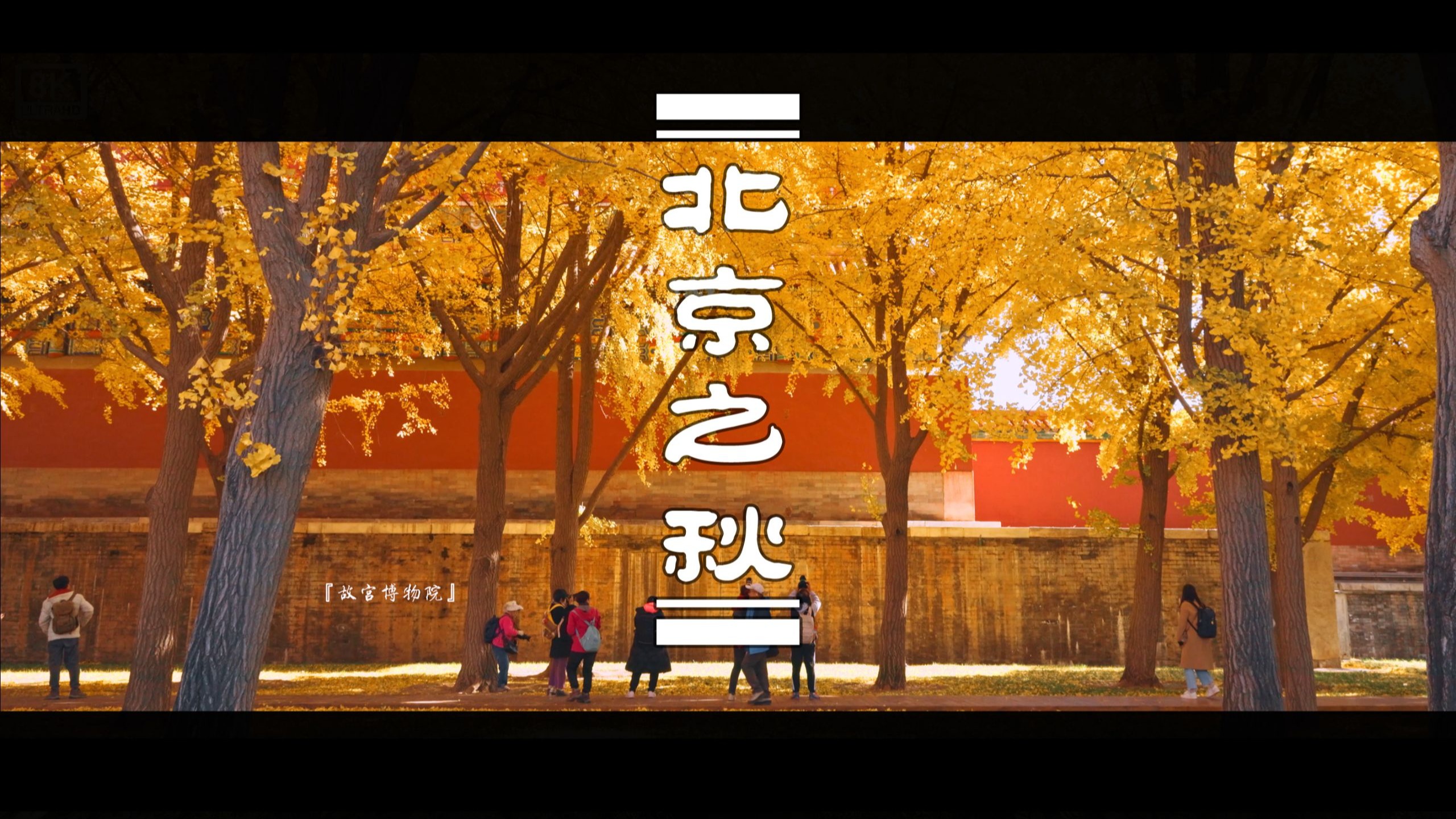 拍了两年的北京8K秋景，妈妈问我为什么跪着看，看完她说要带我去秋天的北京丨北京 集锦秋景丨 8K看世界 丨 佳能R5C 8K 画质