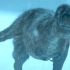 颠覆常识！有的暴龙其实毛茸茸像大熊，在北极圈过冬【科幻Fans 布玛】精美恐龙纪录片 《史前星球》