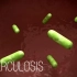 【3D演示】 结核病的传播和发病机制（原版+字幕版）