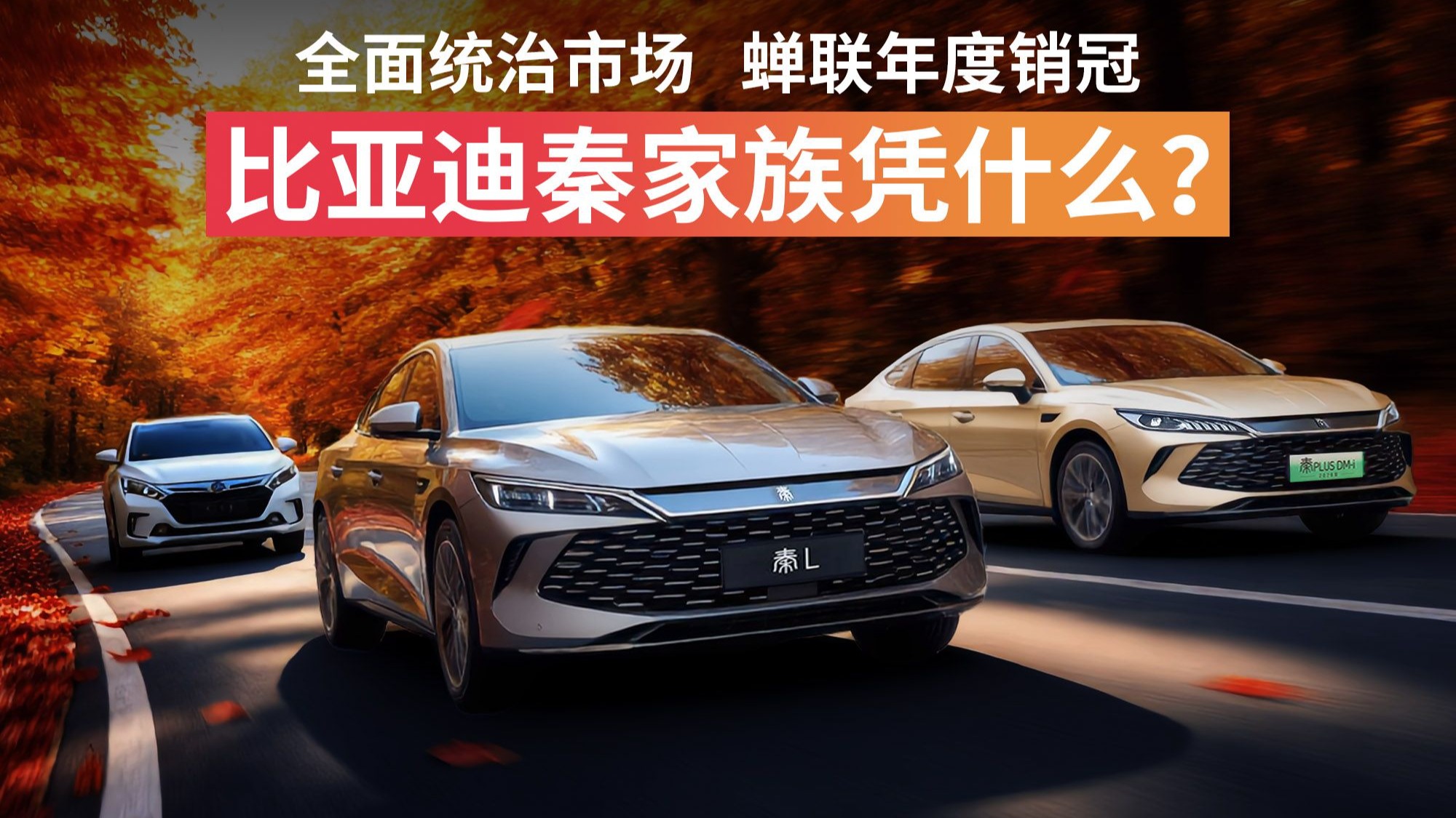 全面统治市场、蝉联年度销冠，比亚迪秦家族凭什么？