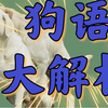 狗的社交体系：狗语的详细讲解，探索狗的语言秘密