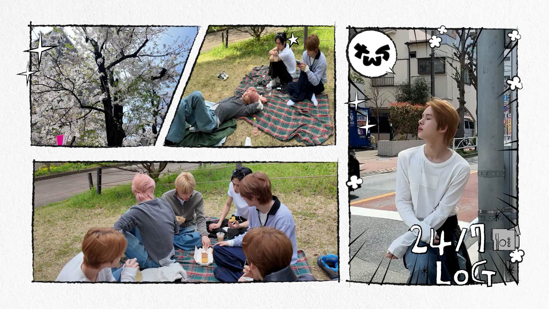 [24/7📹LOG] 今日天气晴 ☀️(feat. 野餐)🌸 ㅣTWS