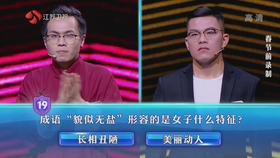 成语貌似什么_不接是什么成语(2)