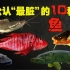 公认“最脏”的10种鱼，含有超多寄生虫和重金属，懂的人却经常买