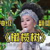 【神级翻唱】宋祖英 周华健 翻唱的《橄榄树》谁听过这么好听的翻唱版本