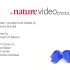 【nature video】<中英字幕>折纸十年（DNA折纸术）（DNA origami）