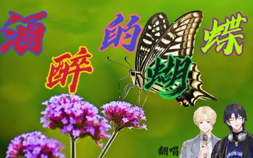 【姜予星_STAR】【许亦真_REAL】合唱 酒醉的蝴蝶_哔哩哔哩_bilibili