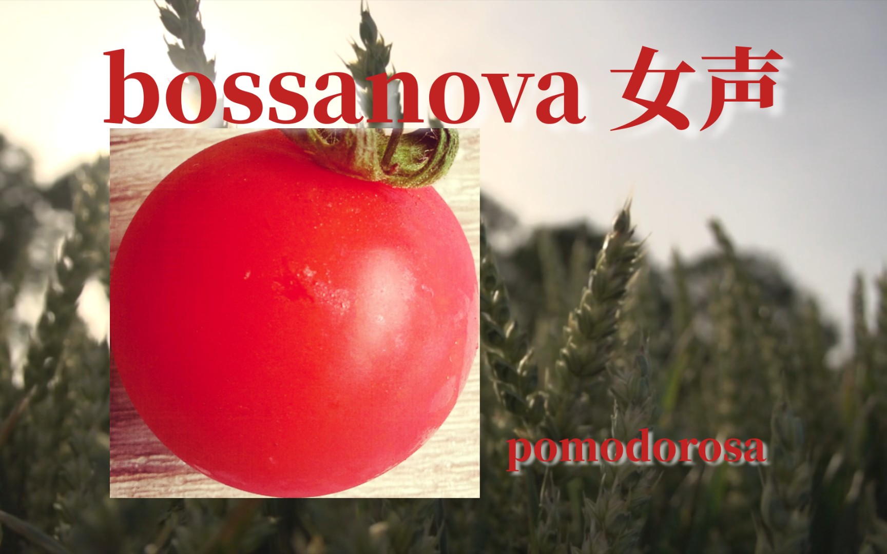 「日本/jazz bossanova 女声」力推！夏天与bossanova更配哦｜pomodorosa——pomodorosa
