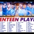 【Playlist】Seventeen｜3.5小时歌单｜更新至2022.05.27正规四 Hot｜KPOP阳间曲只此一家