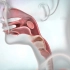 医学动画 | 关于喉癌，你想知道的 | 双语字幕 | 医学英语