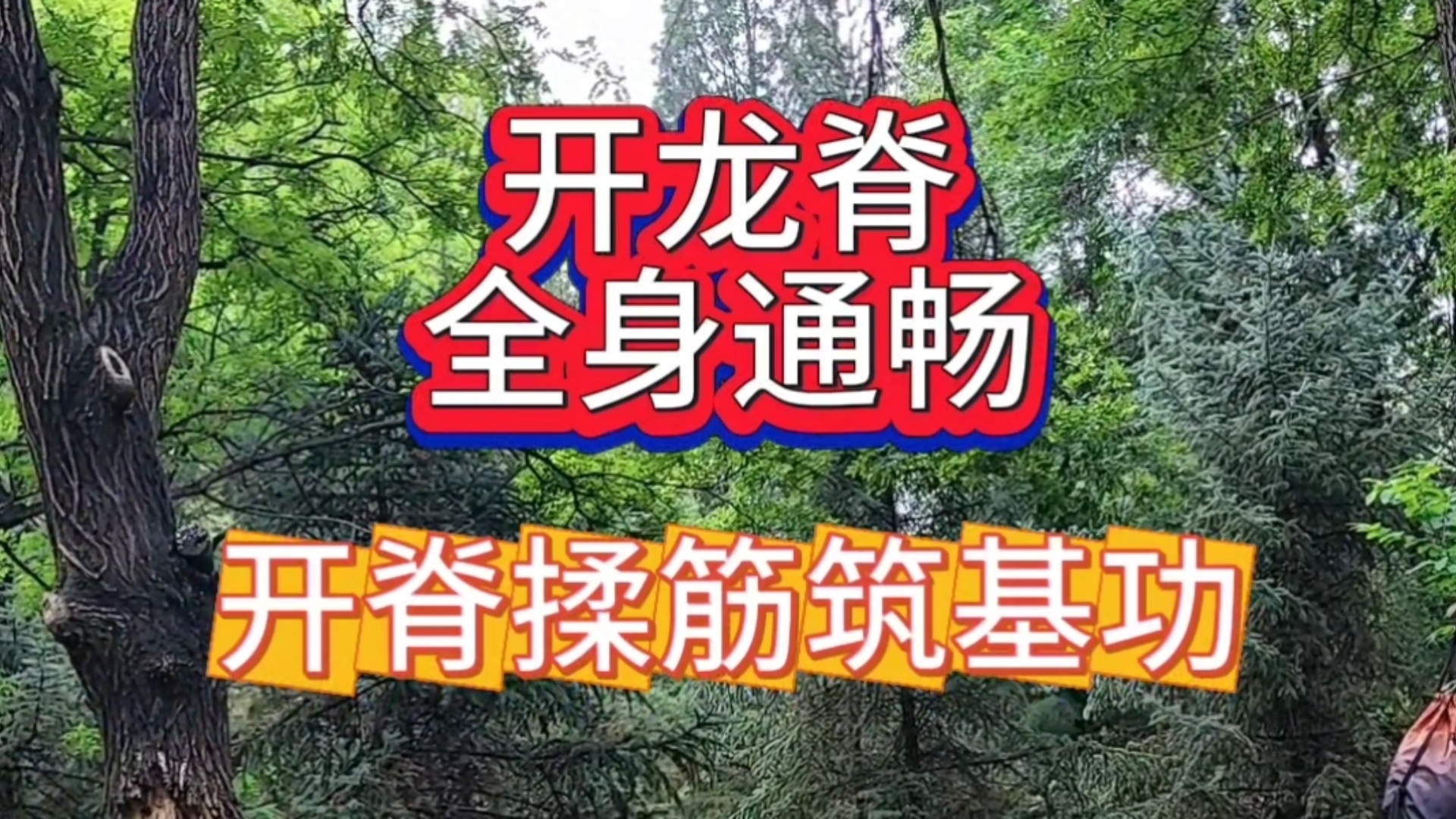 开脊揉筋百日筑基功｜学习