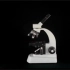 光学显微镜使用